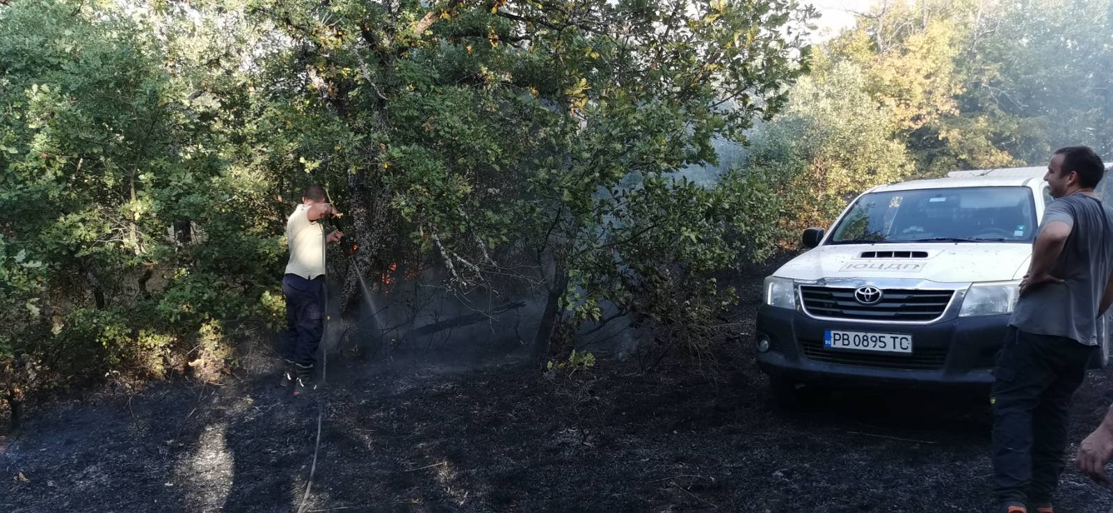 Страшен огнен ад в Пловдивско: Евакуират старици от вили СНИМКИ