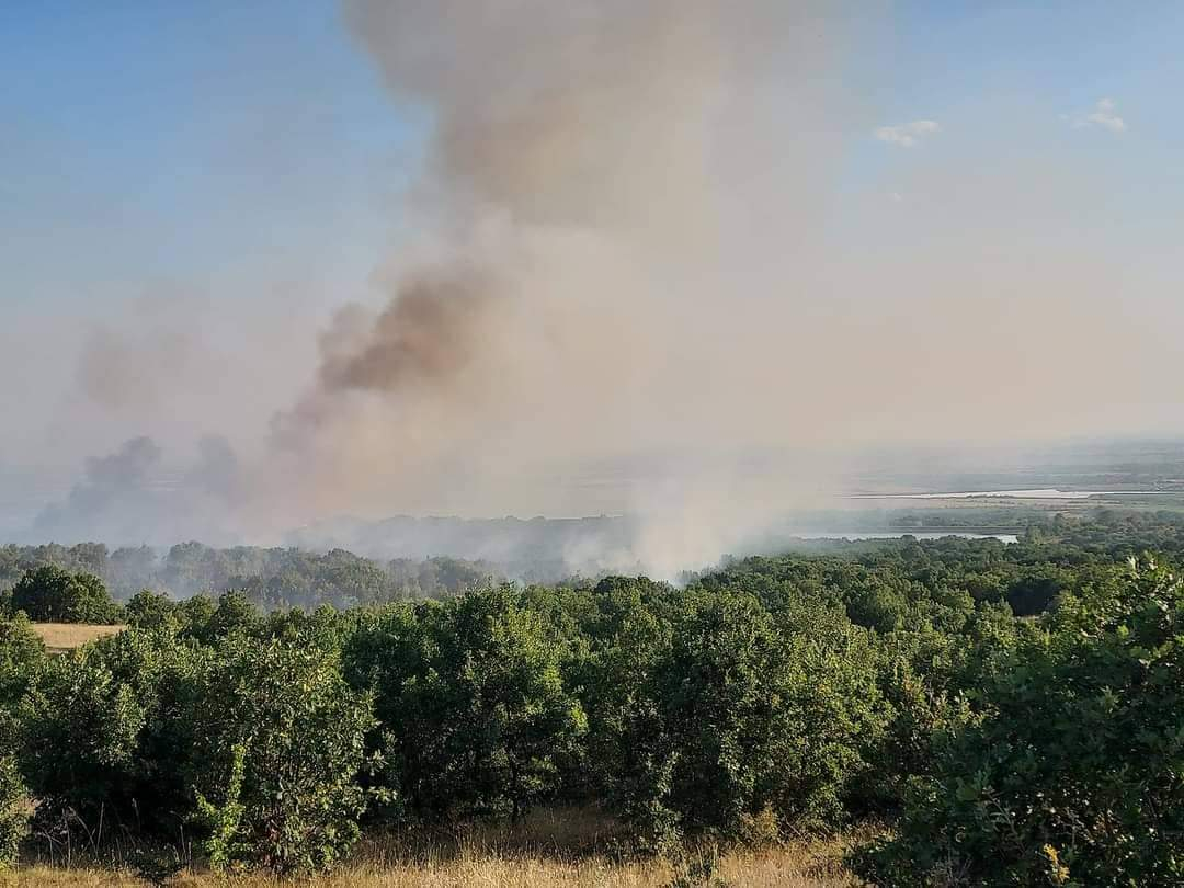Извънредни новини за големия огън в Пловдивско СНИМКИ