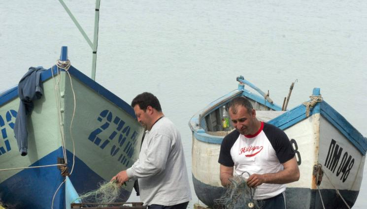 Тази новина за тварите, които плуват край нашите брегове на Черно море, смълча всички