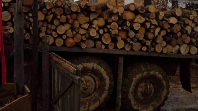 Шведите купуват дърва като луди в очакване на тежка зима 