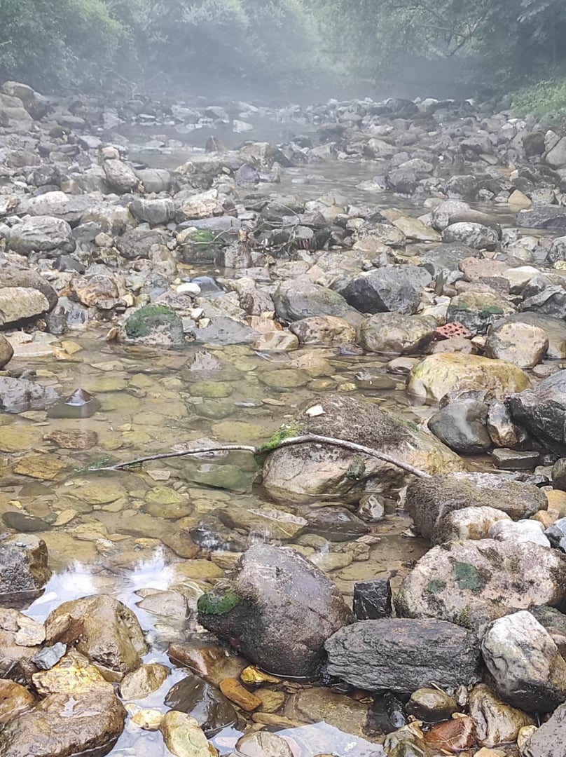 Река до Своге внезапно изчезна снощи, хората събират риба с кофи, чешмите пресъхнаха СНИМКИ