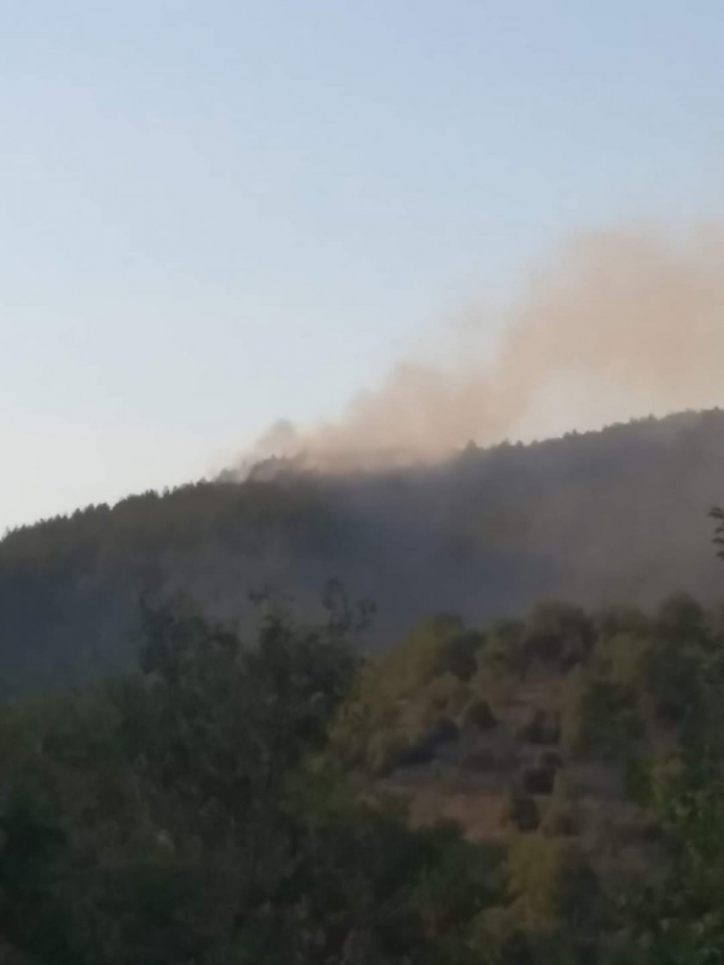 Пореден пожар лумна в България, огнеборци гасят... СНИМКИ 