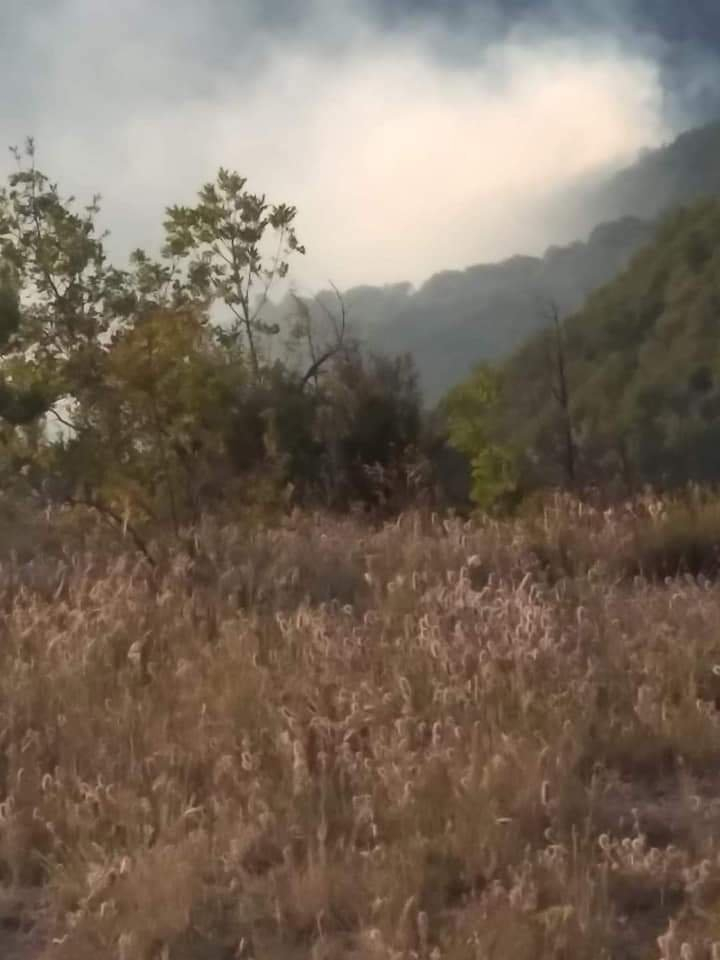 Пореден пожар лумна в България, огнеборци гасят... СНИМКИ 
