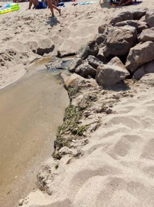 Туристи в Созопол в шок: Каква гадост се излива в морето ВИДЕО