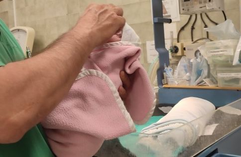 Ето кой спаси живота на новородено момиченце, оваляно в прах и листа на улицата в Айтос СНИМКА 