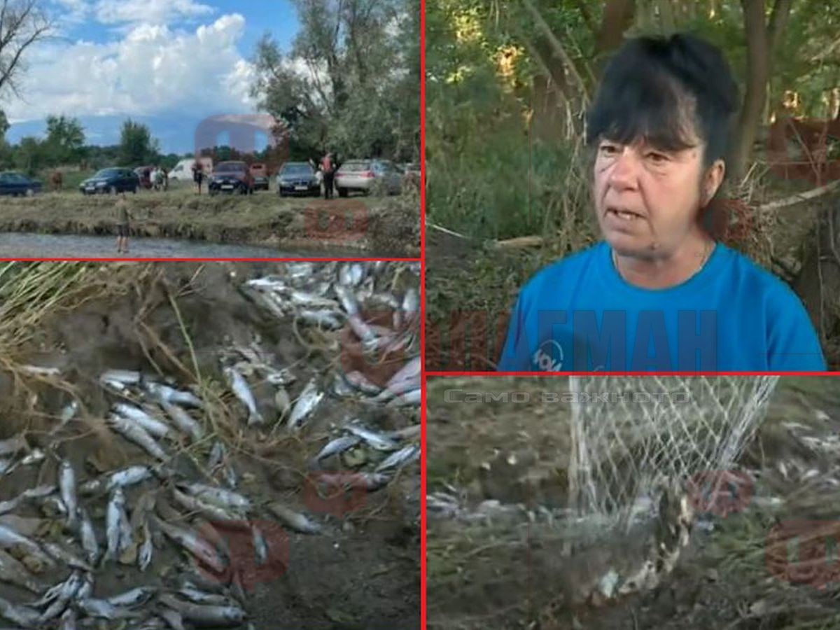 Баровци със скъпи коли се бият за вмирисана риба след потопа в Карловско