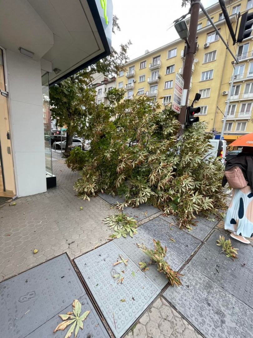 Кошмарна ситуация на пъпа на София след лятната буря ВИДЕО