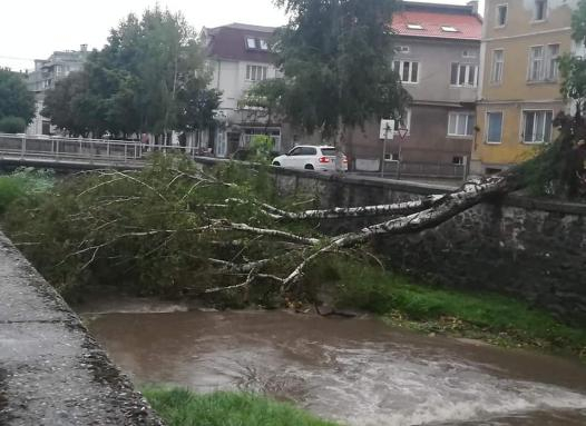 Буря спаси Криско от казармата СНИМКИ