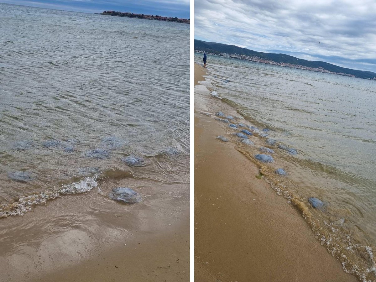 Морето полудя след мощния ураган! Такова чудо на плажа никой не помни СНИМКИ 