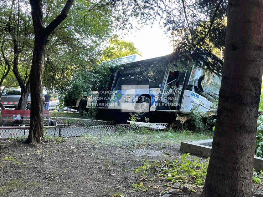 Първи подробности за адското меле с рейс, забил се в коли и дърво в София ВИДЕО