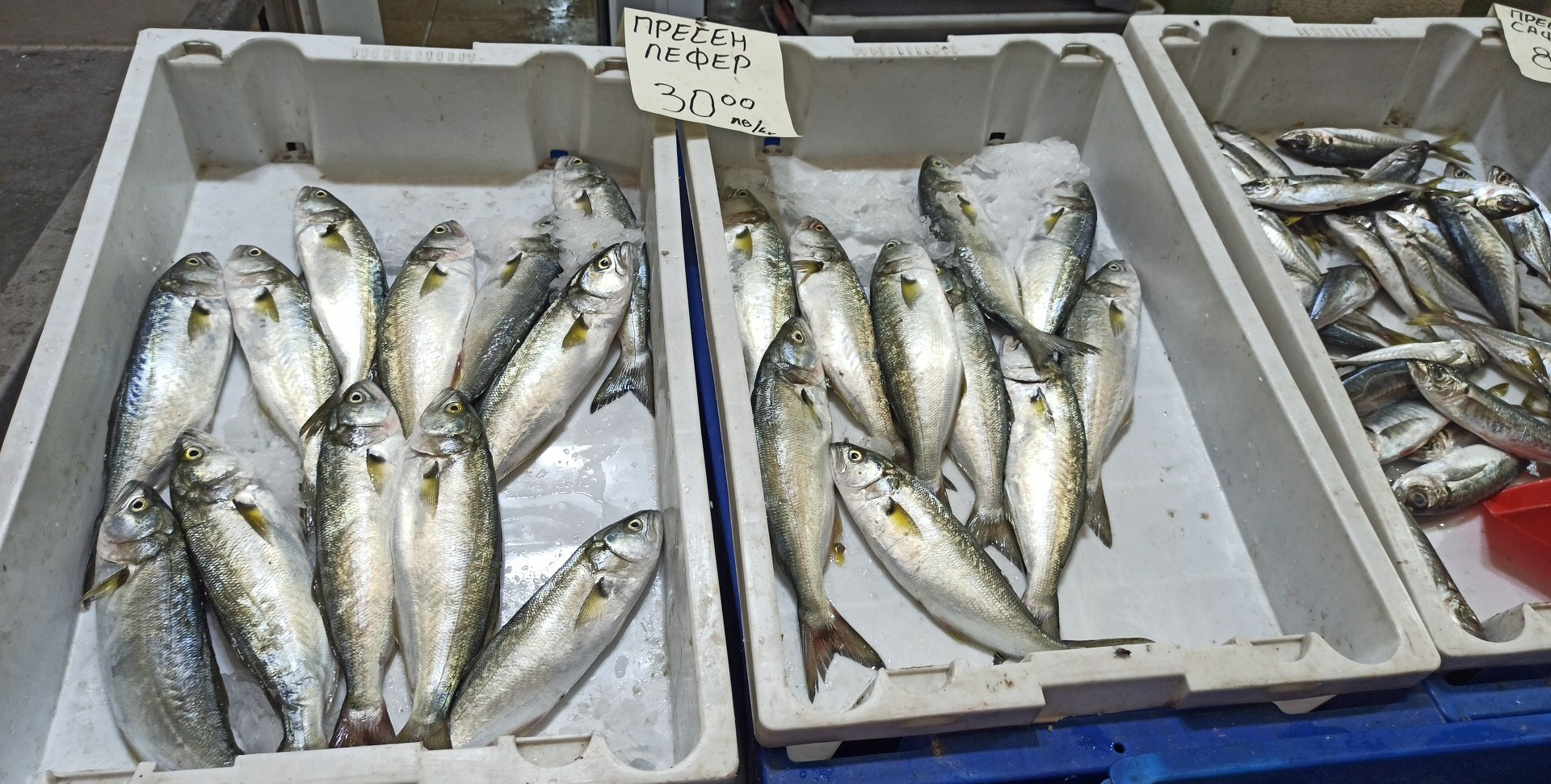 Не е за вярване какво се случи днес на плажа в Бургас, а в морето...  СНИМКИ