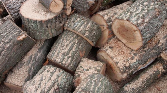 Успокоение: Няма недостиг на дърва за огрев