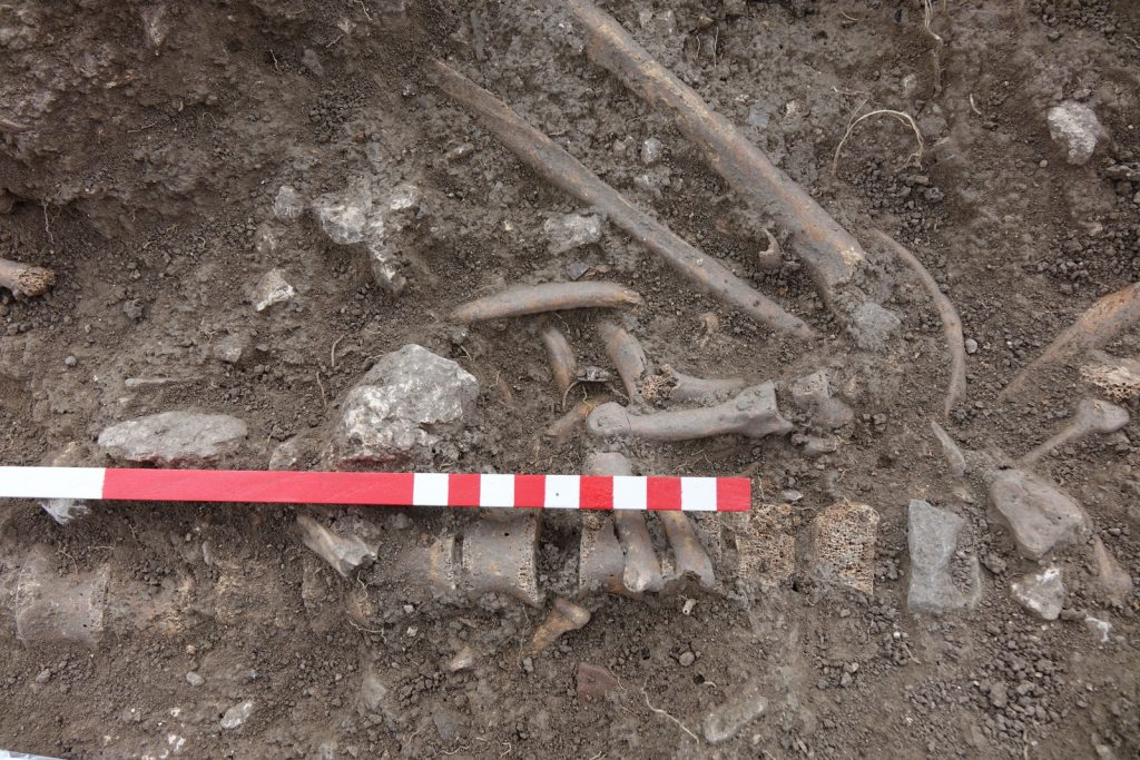 Необичайна находка изуми археолозите на хълма Трапезица СНИМКИ