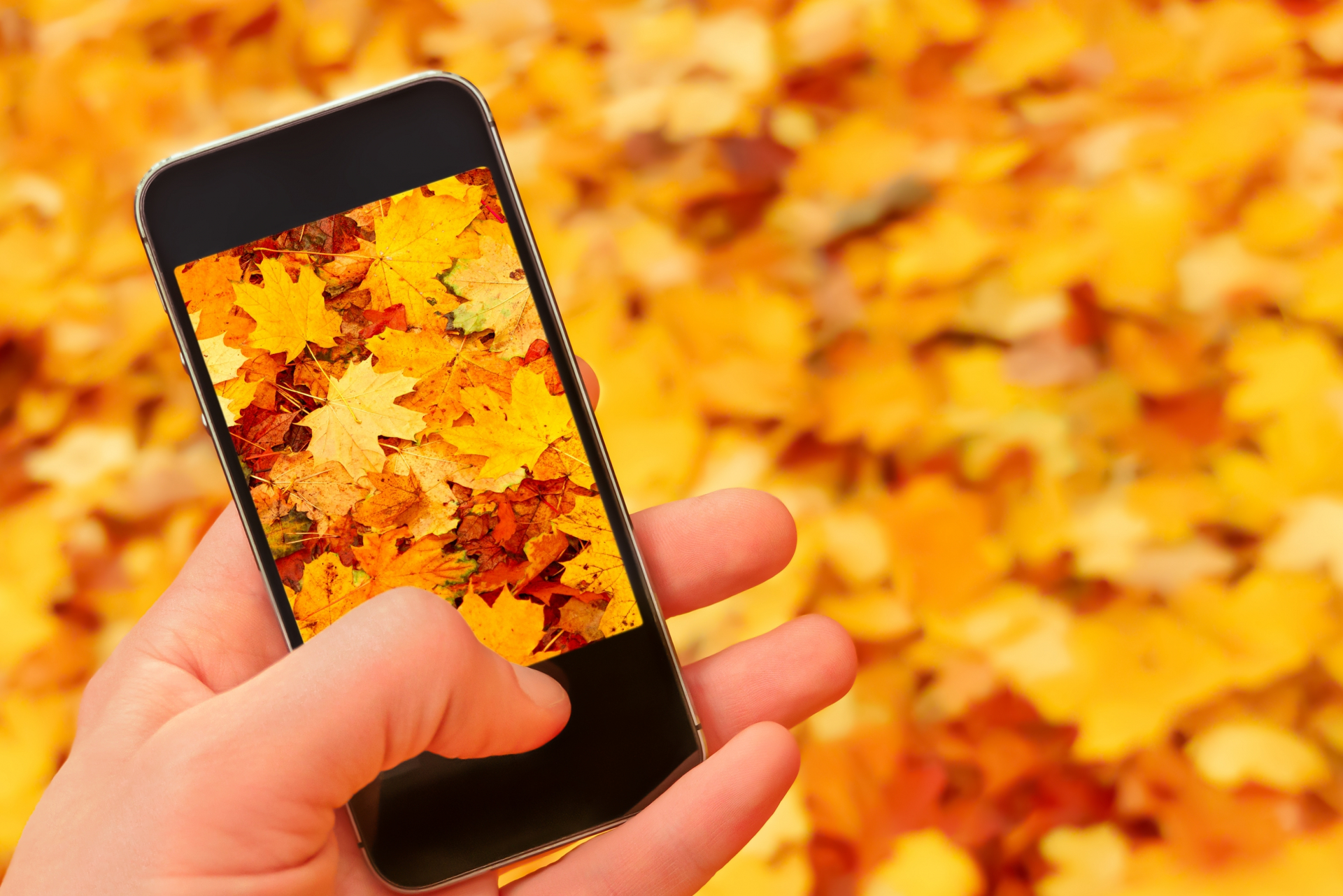 До края на октомври: Промоционални цени за избрани модели смартфони от А1