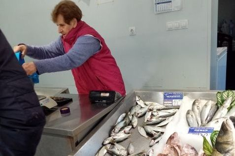 Бургаските рибари се стягат за най-хищната риба