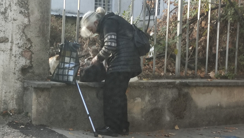 Възрастна жена пъхна коте в чантата си и мрежата прегря СНИМКА