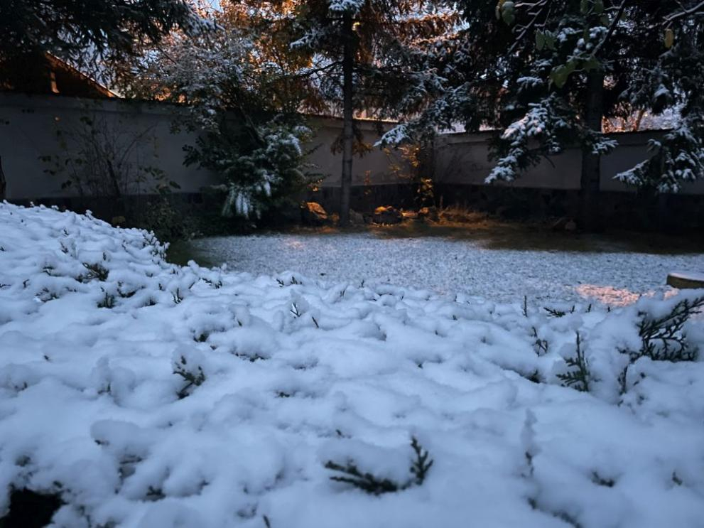 Първи сняг падна в София, обработват улиците срещу заледяване СНИМКИ