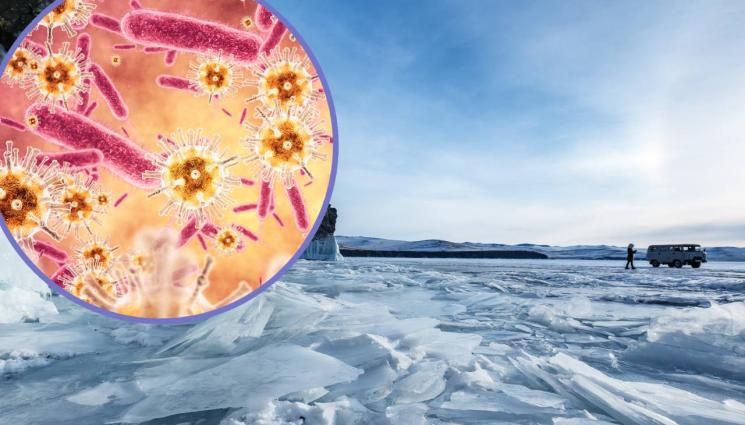 Ужас, замръзнал "зомби вирус" на 48 хиляди години бе съживен от учени