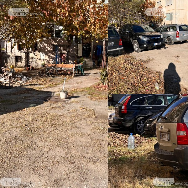 Напук на общината и съседите: Пловдивчанката с частен двор под панелка продължава да наглее СНИМКИ