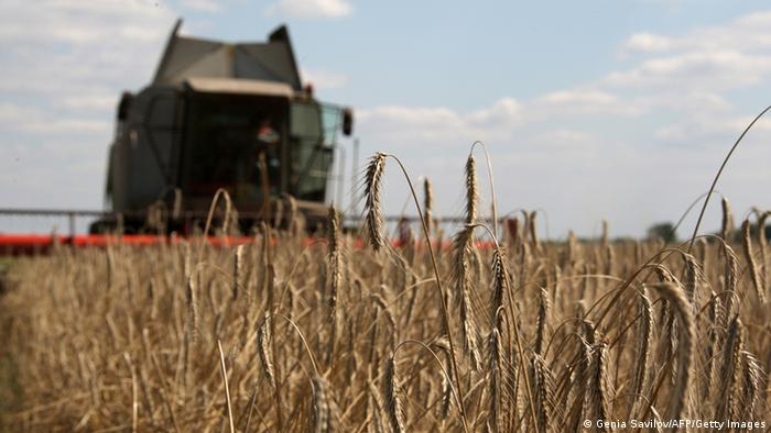 НАСА: Русия е ожънала пшеница за 1 милион долара в Украйна