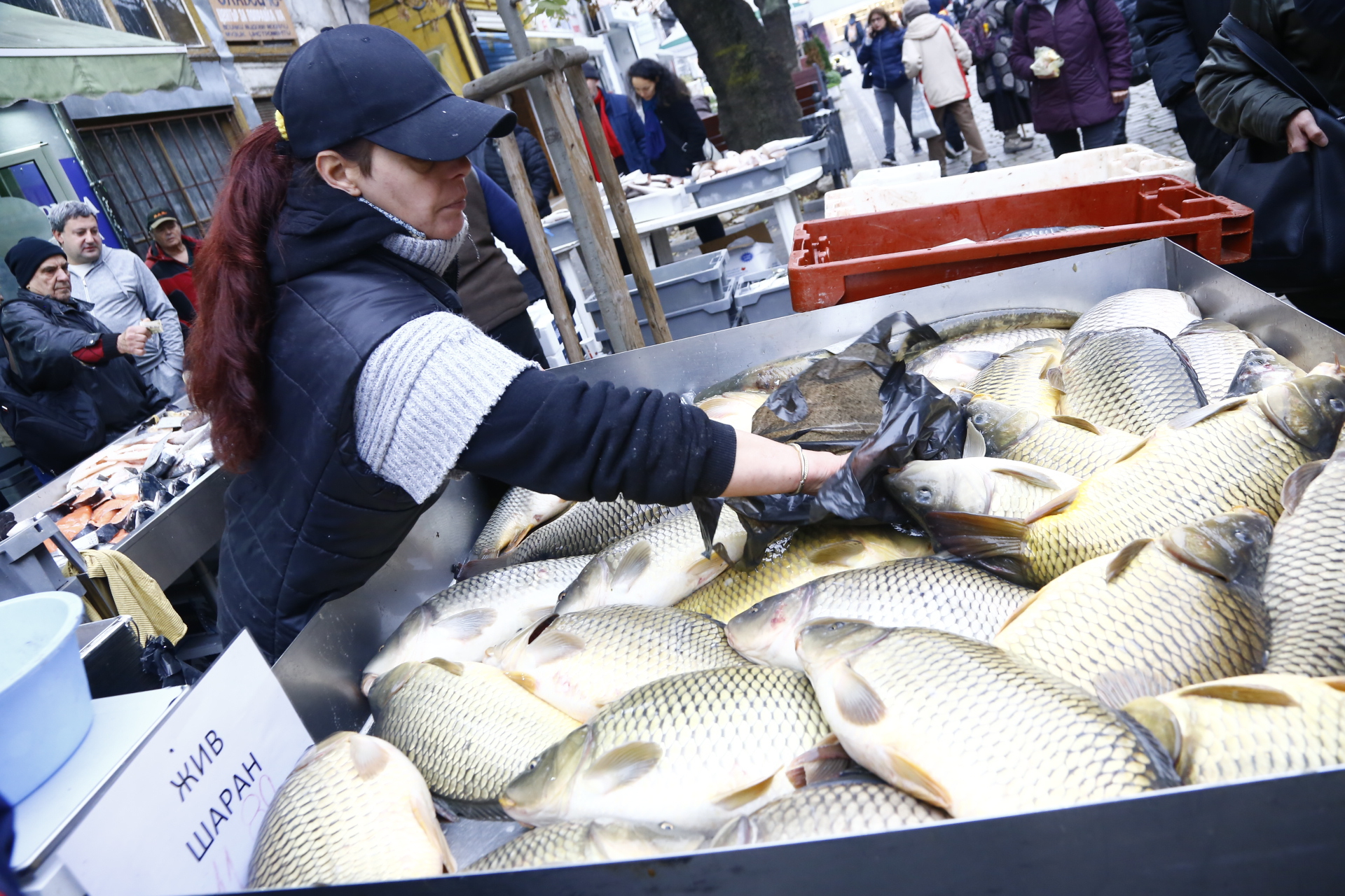 Агенти тръгват на проверки по рибните пазари 