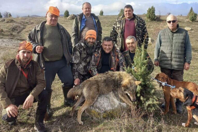 Ловци от Сенокос повалиха най-страшния звяр в Пиринско СНИМКА