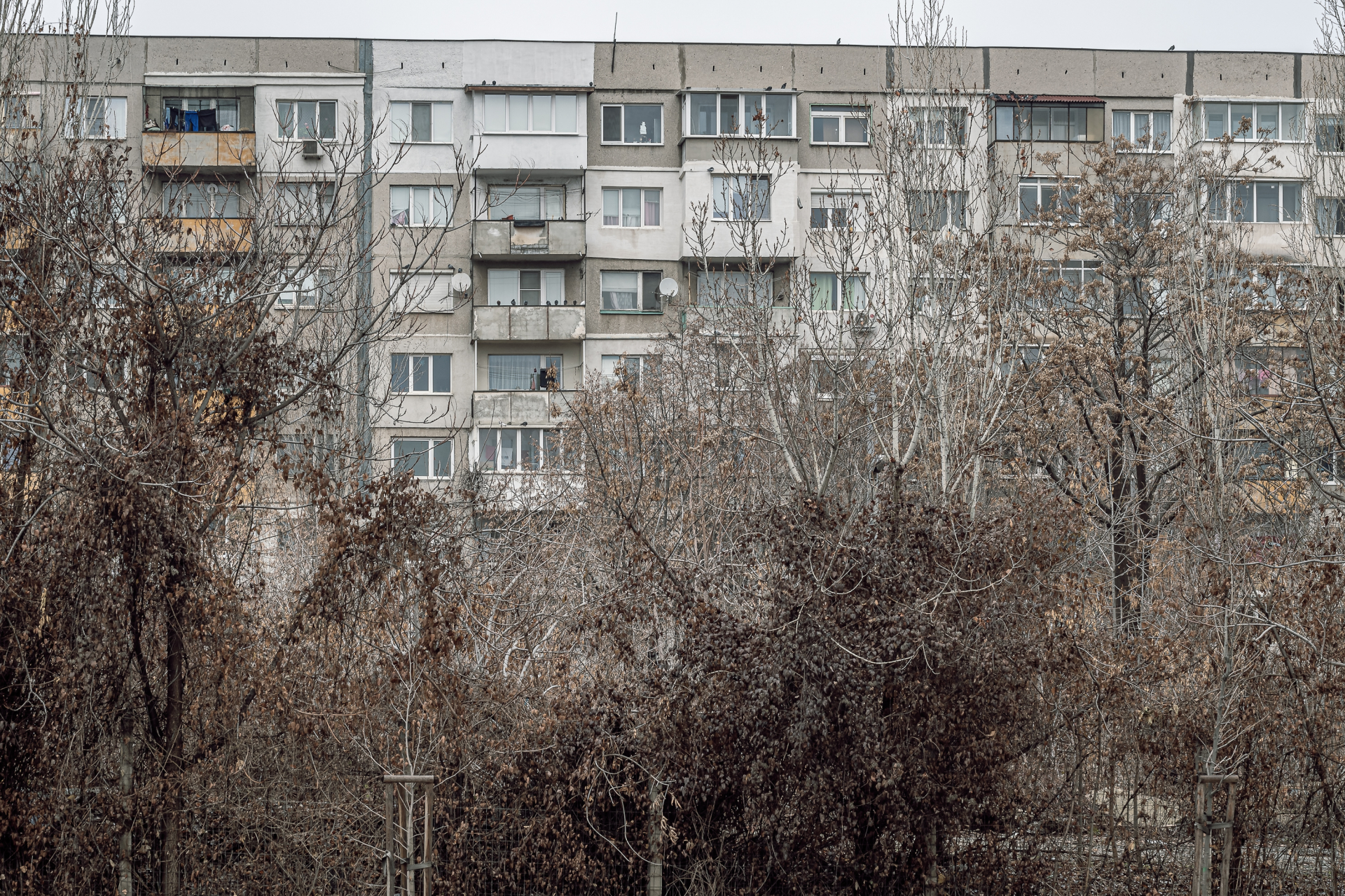 Човек на Терзиев иска общината да отнема празните апартаменти в София и да ги раздава на...