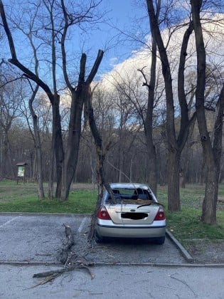 Пловдивчанин никога няма да забрави тази Коледа, наблизо е имало и дете СНИМКИ