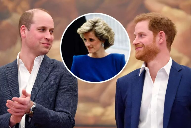 Кралски експерт: Уилям никога няма да прости на Хари тази враждебна интрига с майка им СНИМКИ