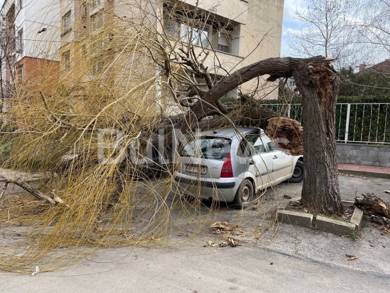 Започна се! Опасното време в България взе първи жертви СНИМКИ 