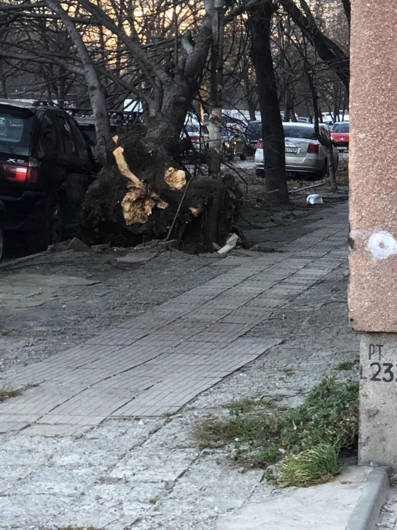 Паника и писъци в столично училище, в София е като на война ВИДЕО