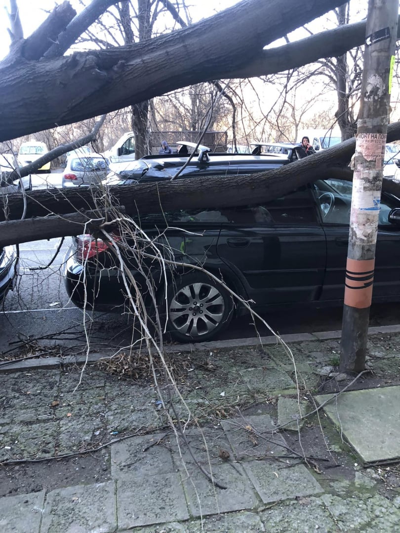 Паника и писъци в столично училище, в София е като на война ВИДЕО