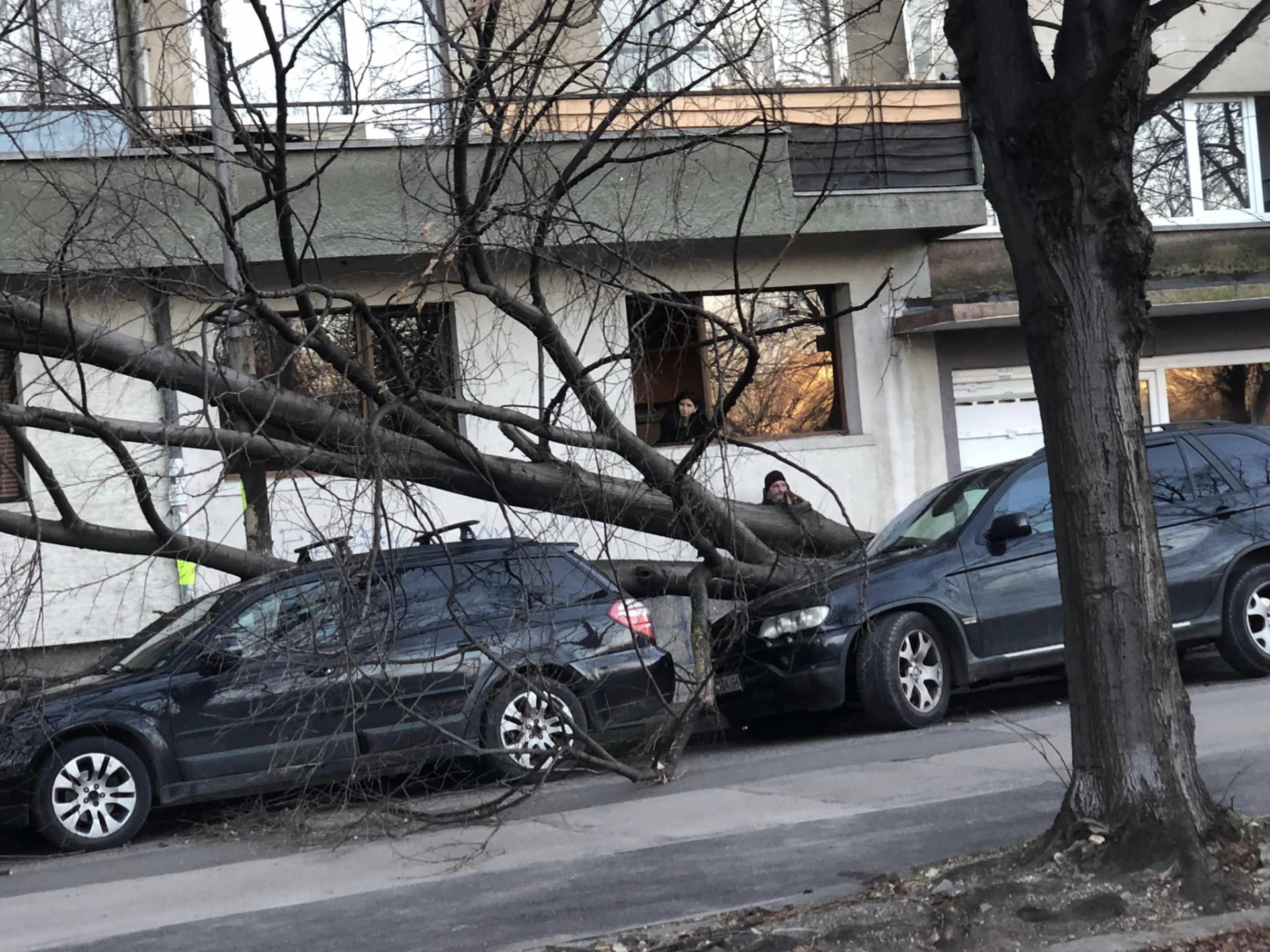 Паника и писъци в столично училище, в София е като на война ВИДЕО