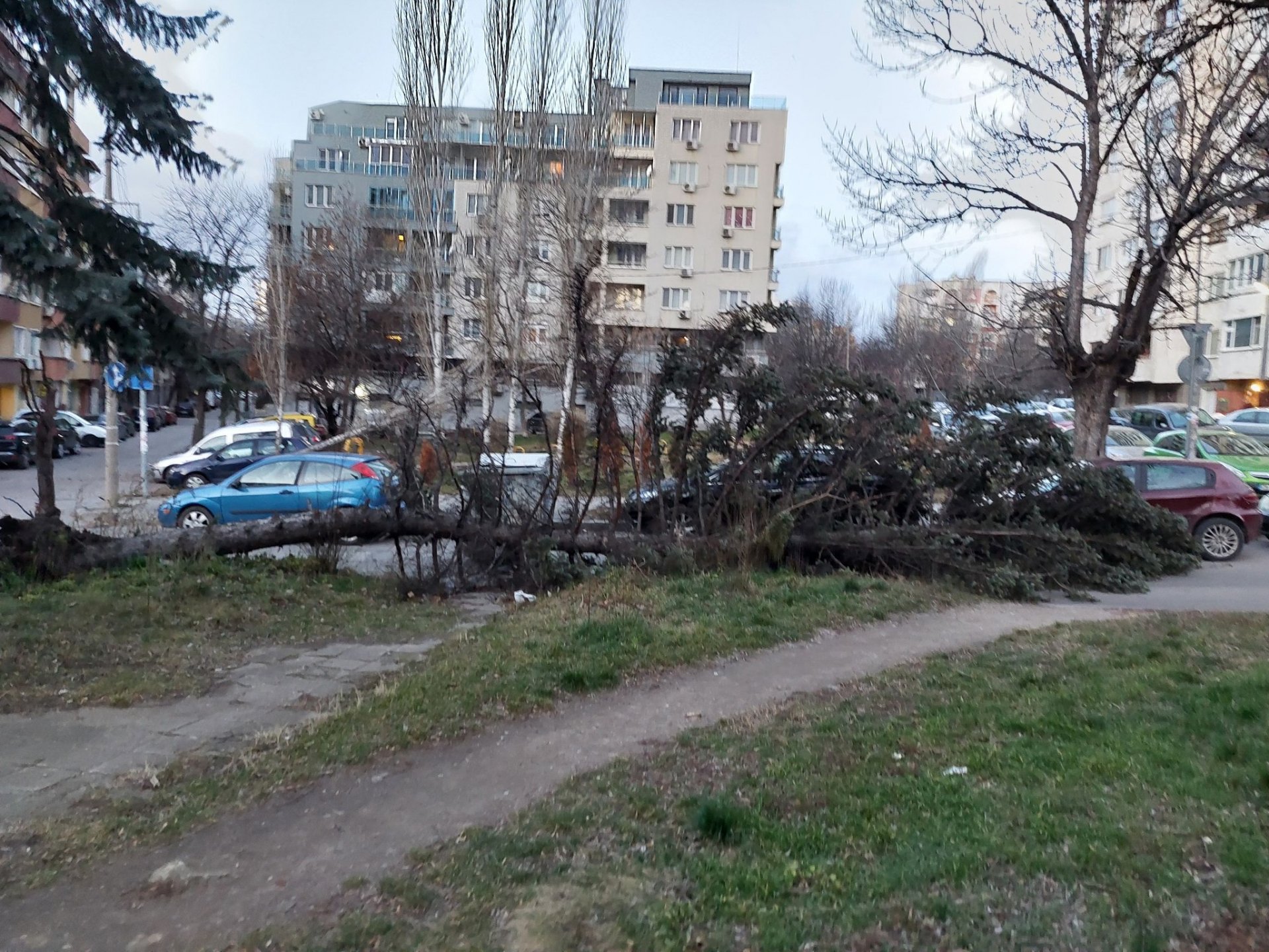 Паника и писъци в столично училище, в София е като на война ВИДЕО