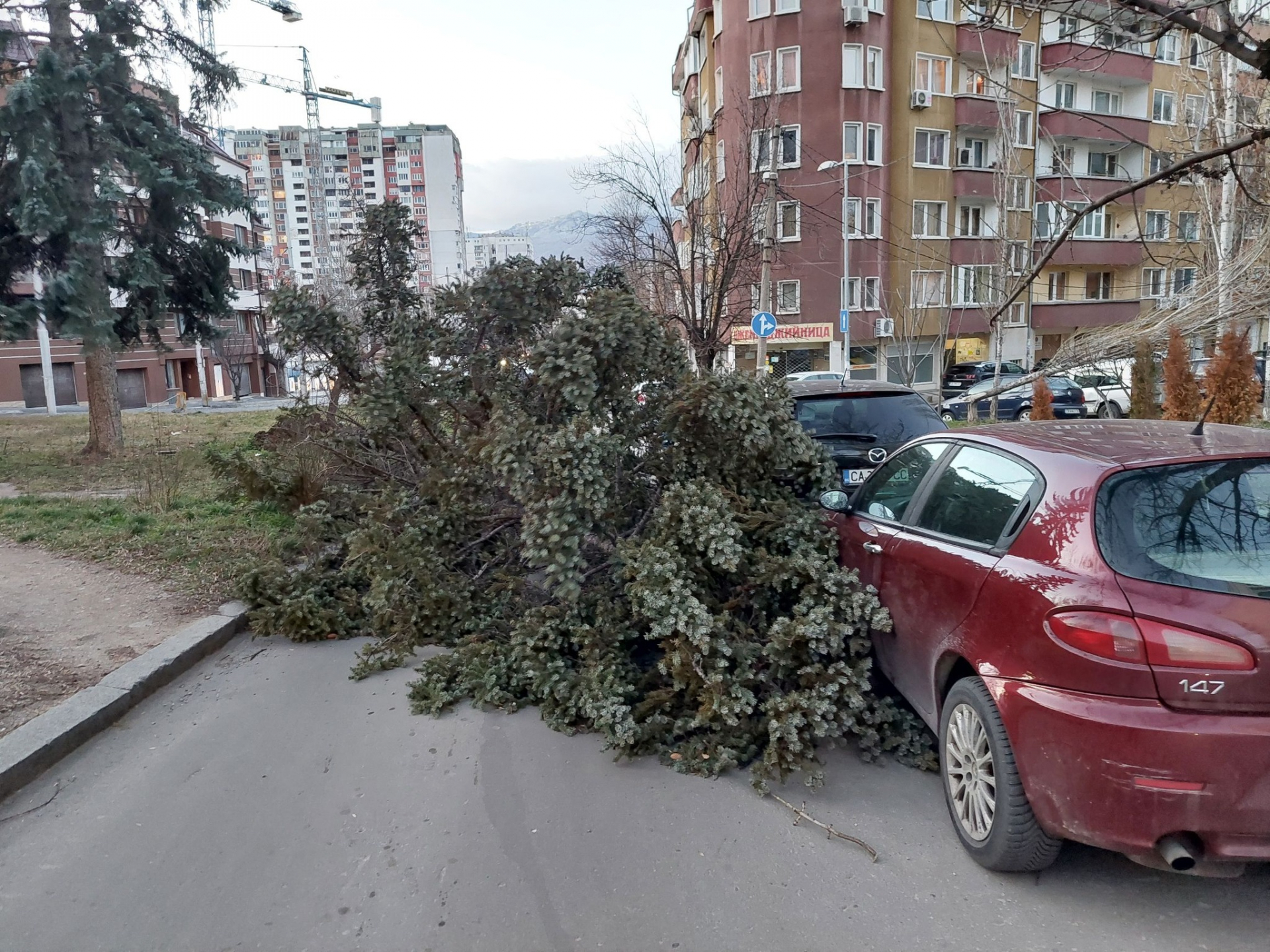 Паника и писъци в столично училище, в София е като на война ВИДЕО