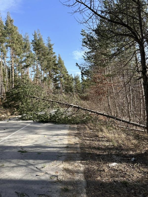 Внимание, шофьори! Опасна ситуация на прохода "Петрохан" СНИМКИ