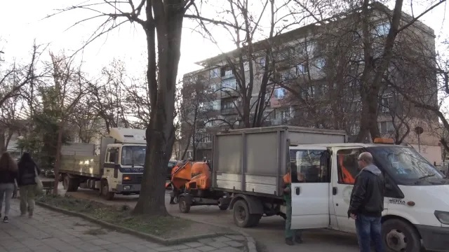 Трагедия без край, след като дърво премаза дечица в Пловдив ВИДЕО