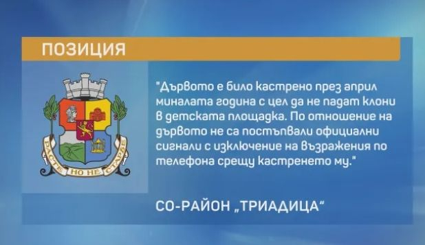 Дърво се стовари с грохот на детска площадка в София 