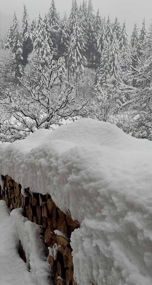 Уникални КАДРИ от първия сняг в Пловдив