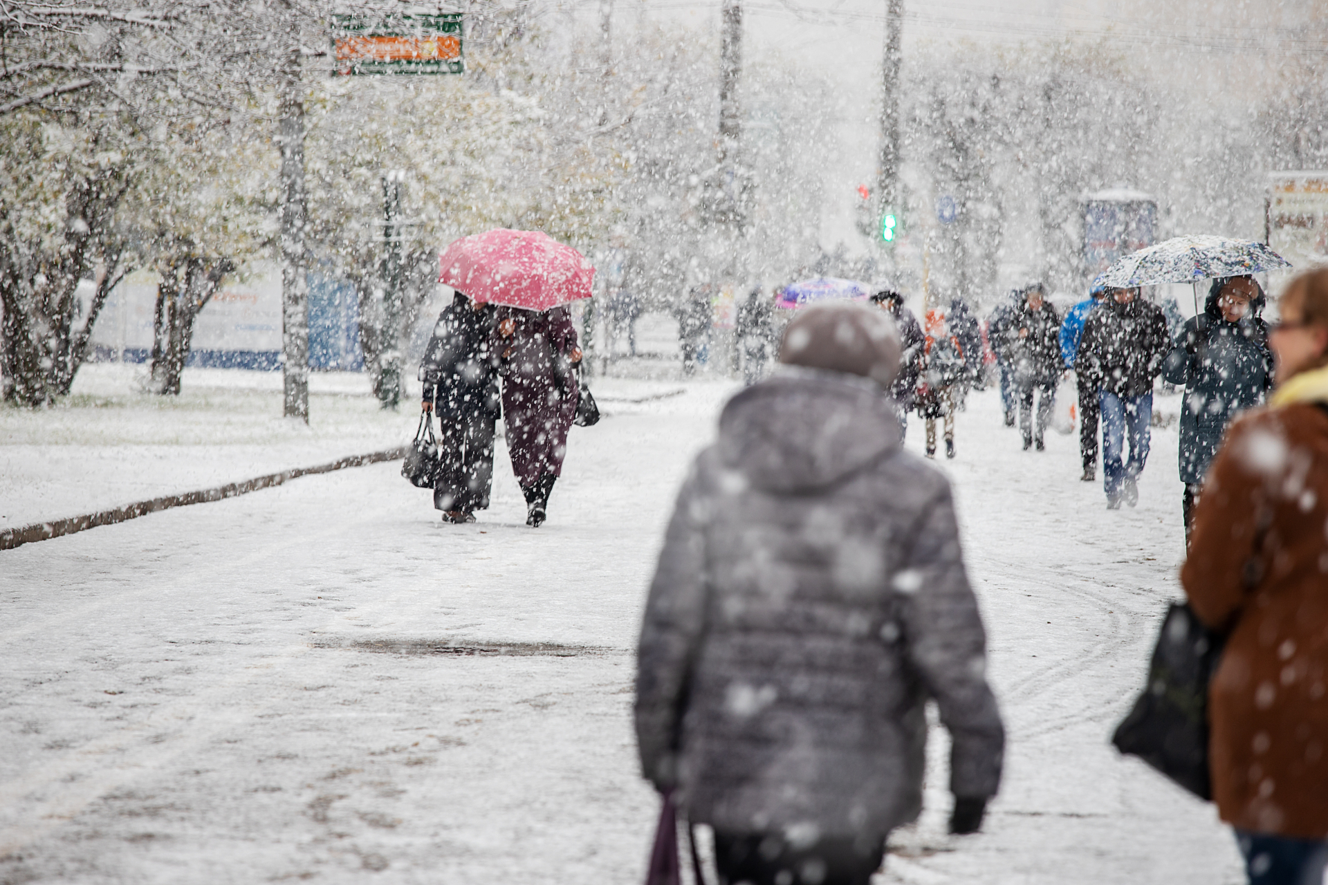 Синоптици с пълна прогноза за Малък Сечко и колко сняг ще ни вали ТАБЛИЦА