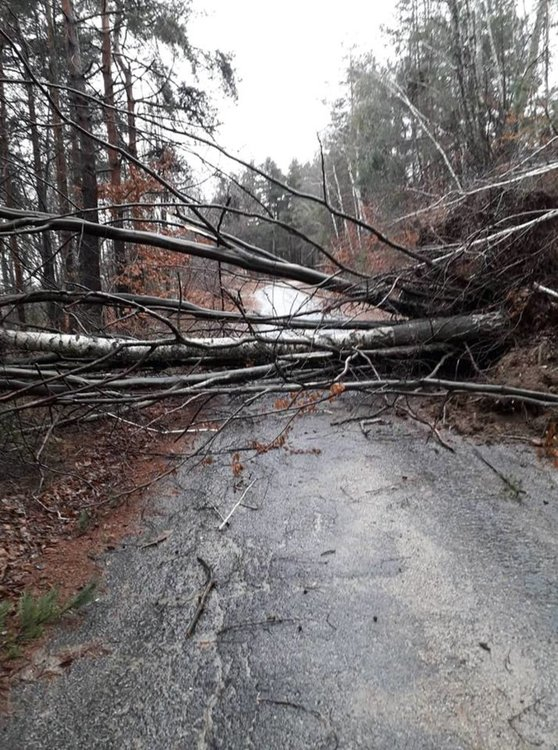 Страховит вятър вършее в Сливен, бутна билборд и прекърши дървета
