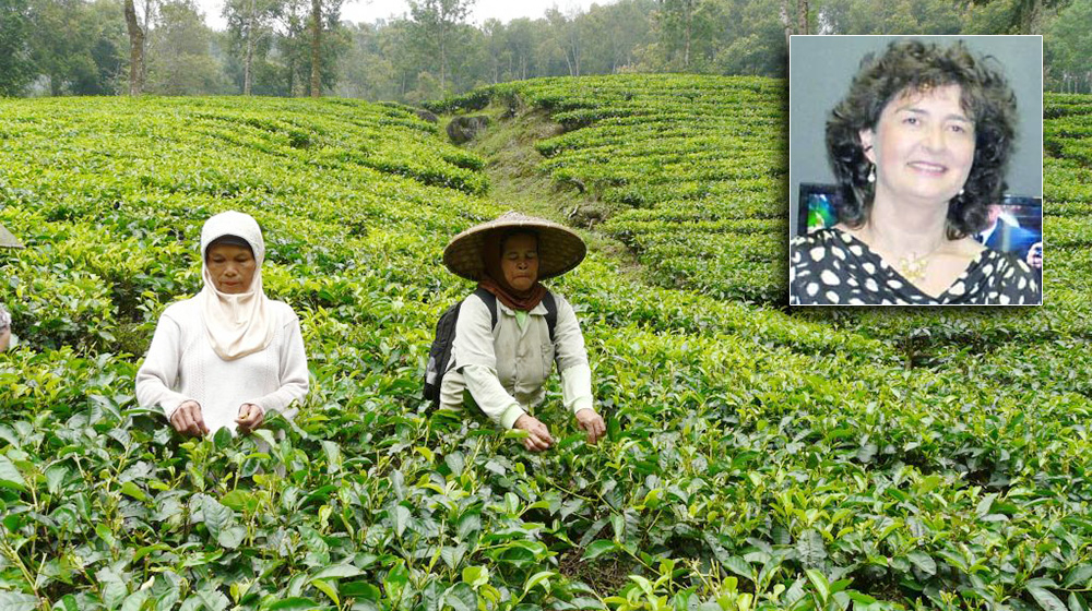 В Китай пият букетите на чай