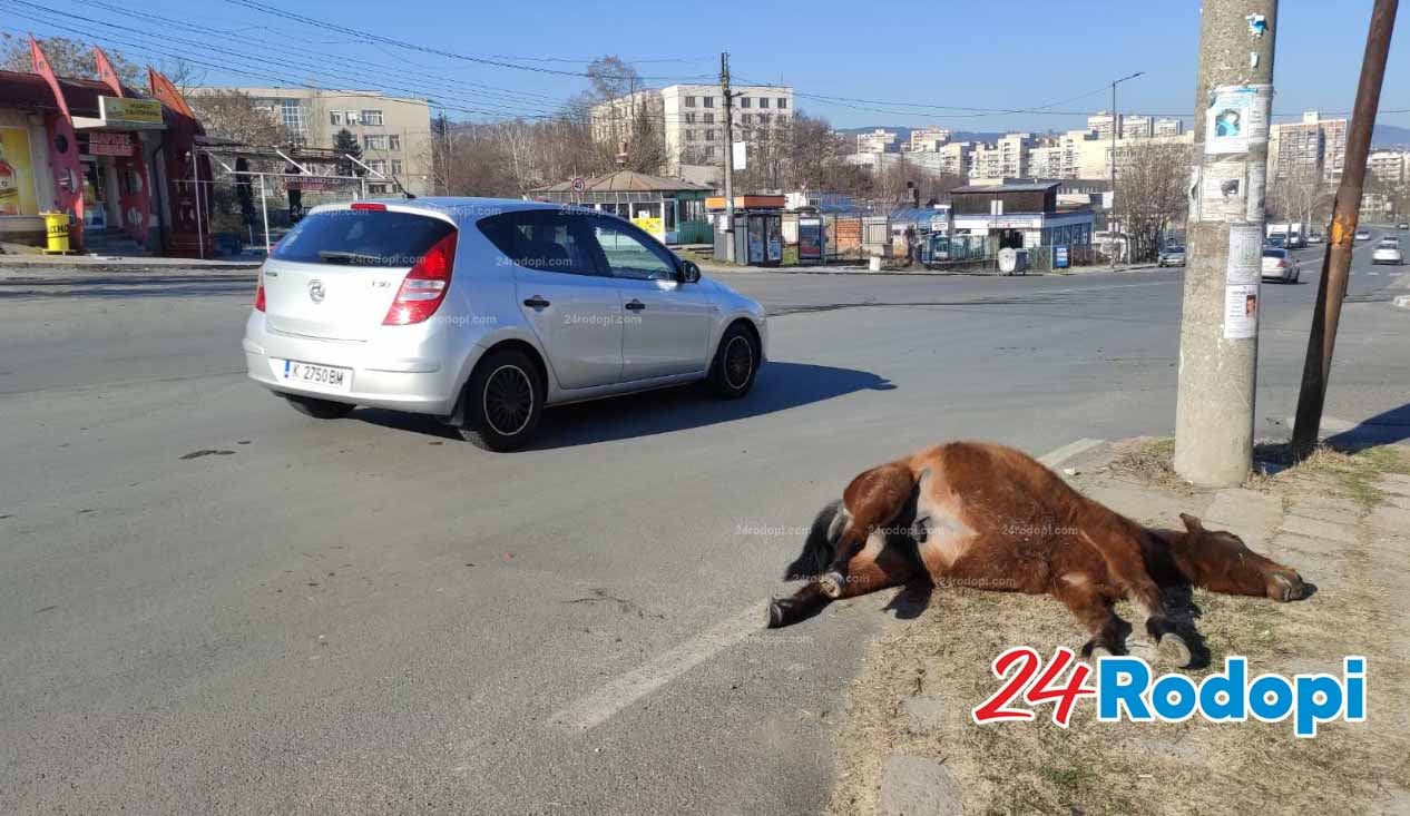 В Кърджали се хванаха за главата от тази катастрофа, никога не са виждали такава СНИМКИ