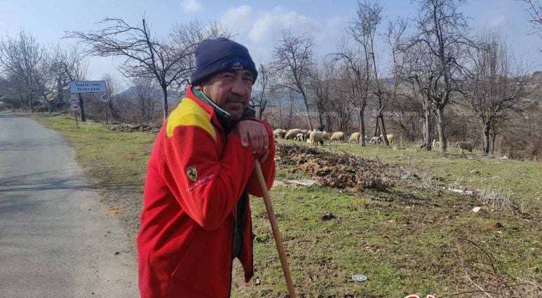 След 19 часа зверове излизат от гората и нападат наред в селата! В Родопите живеят в страх