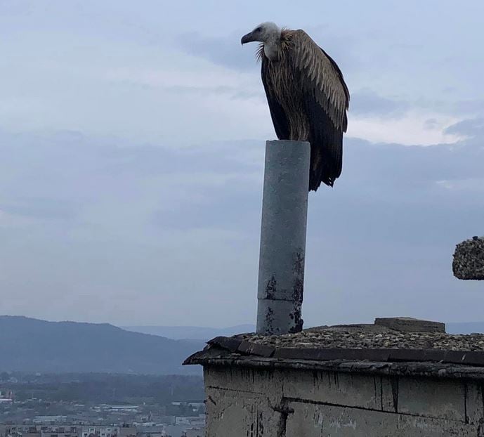 Казанлъкчани гледат към небето и не вярват на очите си СНИМКИ