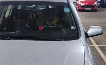 Заснеха най-сладкия шофьор в столичен паркинг СНИМКИ