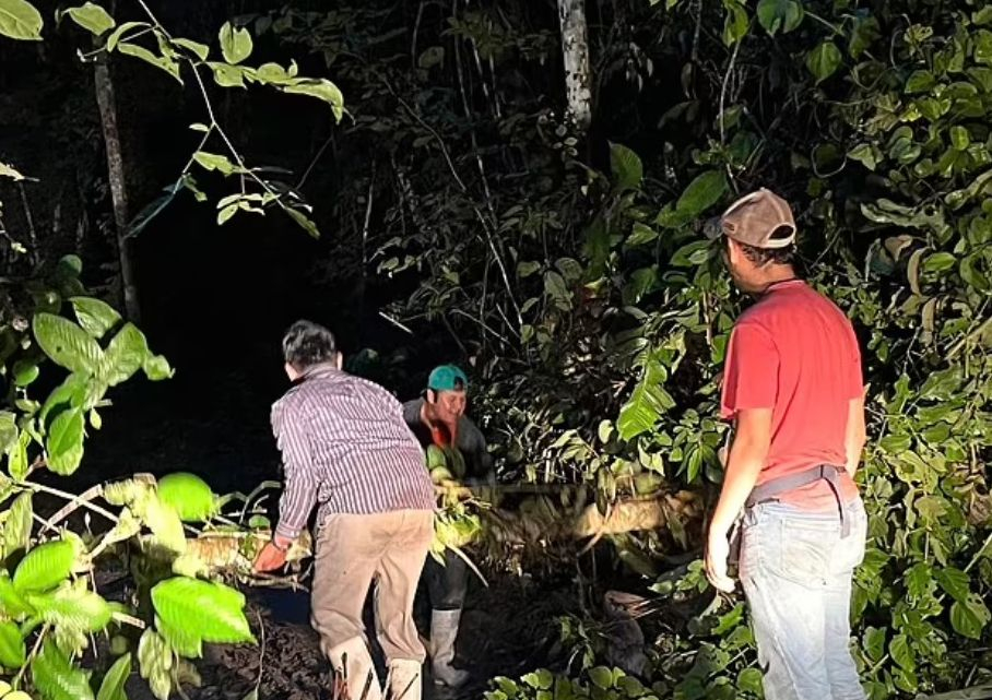 Без храна сред зверовете: Мъж броди сам в най-страшната джунгла цял месец и оцеля ВИДЕО