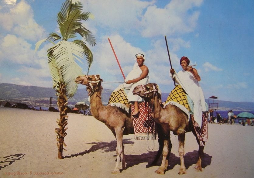 Спомени от соца: Когато по пътя Златни пясъци-Албена имаше палми, а на плажа – камили СНИМКИ 