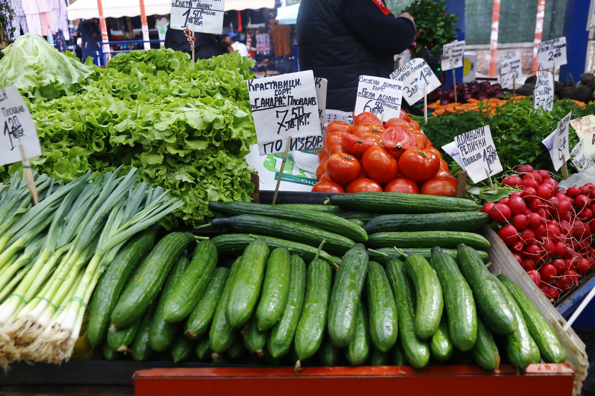 Първите родни краставици вече са на пазара, а цената им ще ни шокира