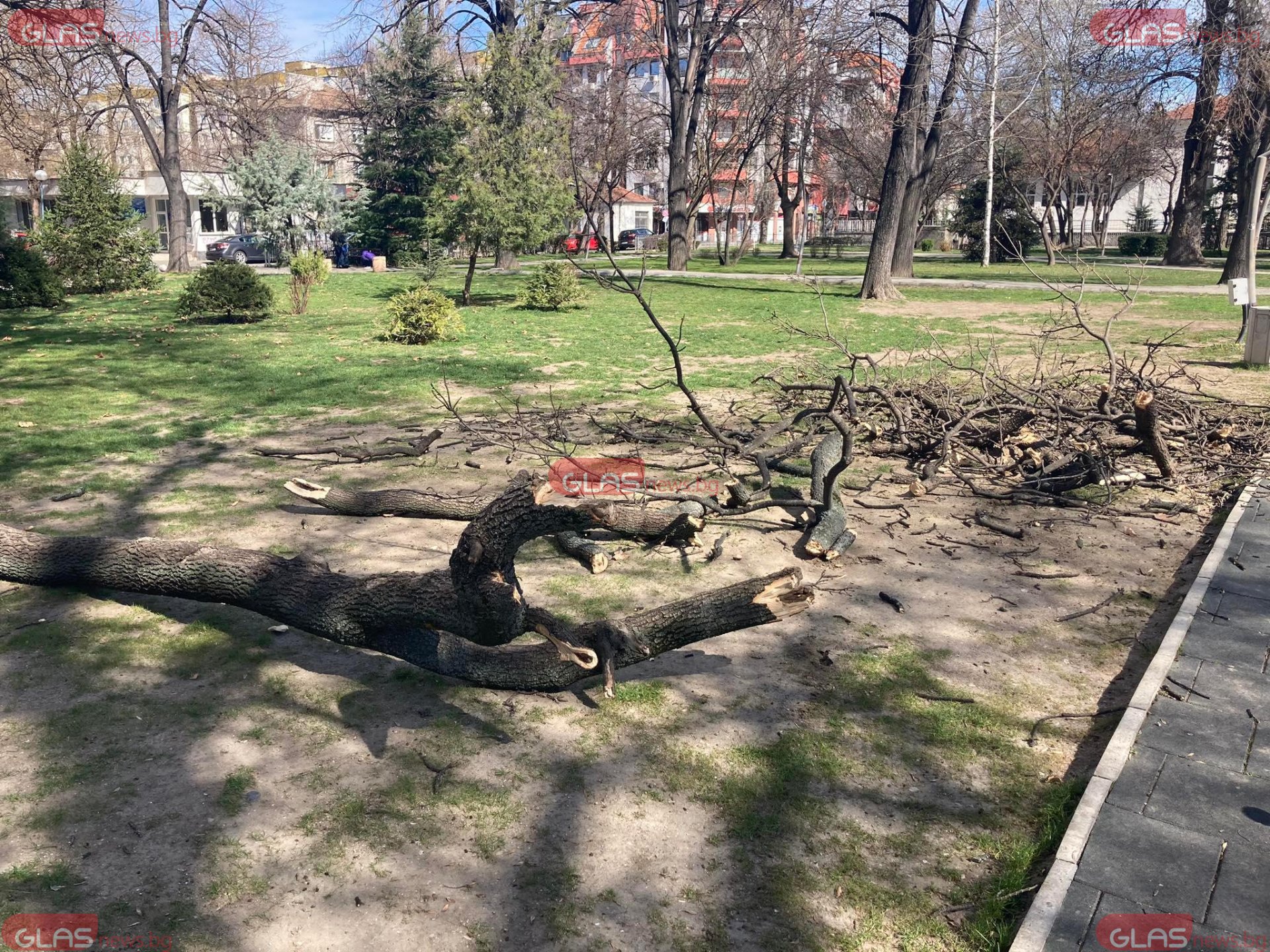 Кошмар до детски люлки в Пловдив СНИМКИ